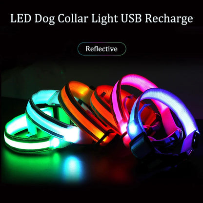Rechargeable LED Reflective Pet Collar