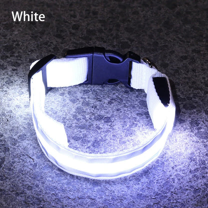 Rechargeable LED Reflective Pet Collar