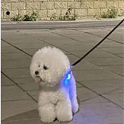 Rechargeable LED Reflective Pet Collar