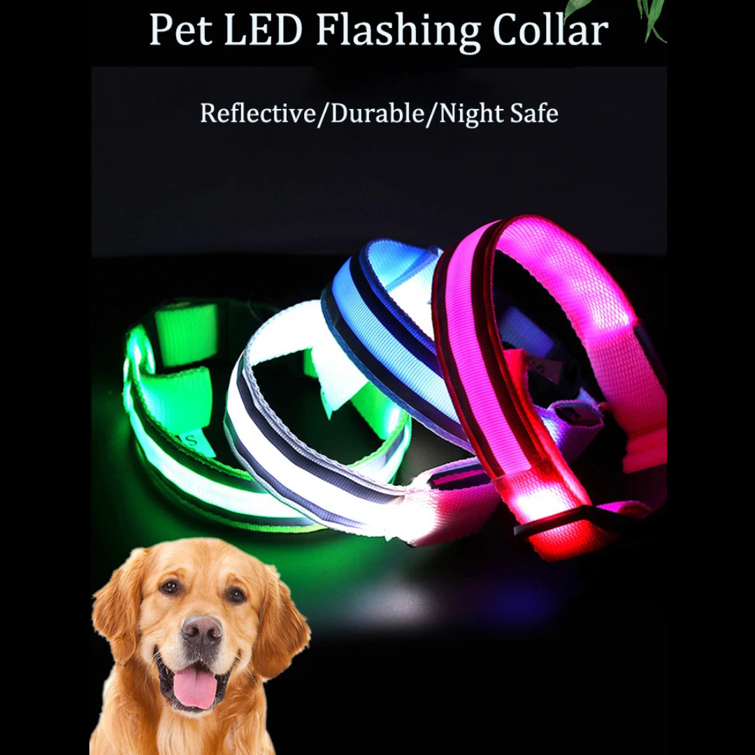 Rechargeable LED Reflective Pet Collar